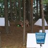 Foto  op Positivus Festival 2011