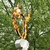 foto Bevrijdingsfestival Flevoland 2006