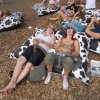Foto  op Lowlands Converse festivalreport - dag 2