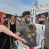 Foto  op Lowlands Converse festivalreport - dag 2