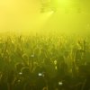 Foto  op Time Warp 2011