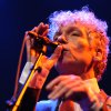 Foto Spinvis te Spinvis - 17/2 - Paard van Troje
