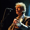 Foto Spinvis te Spinvis - 17/2 - Paard van Troje