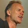 Sting foto Bospop 2006