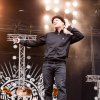 Foto Heideroosjes te Bevrijdingsfestival Overijssel 2012