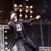 Heideroosjes foto Bevrijdingsfestival Overijssel 2012
