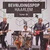 Spinvis foto Bevrijdingspop Haarlem 2012