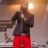 Foto Sef te Bevrijdingspop Haarlem 2012