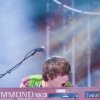Foto Will And The People te Pinkpop 2012 - Zaterdag