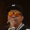 Foto op Beeckestijn Pop 2012