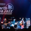 Rufus Wainwright foto North Sea Jazz 2012 dag 2
