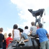 Foto  op Reuring 2012