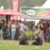 Foto  op Geuzenpop 2012