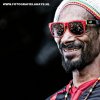 Foto Snoop Dogg te Pukkelpop 2012
