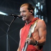 Foto Bush te Pinkpop Classic 2012