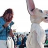 Foto  op Valtifest 2012