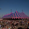 foto Appelpop 2012