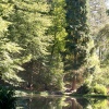 Foto  op Deep in the Woods 2012
