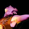 Moonspell