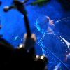 Foto The Elementary Penguins te Go Back To The Zoo - 24/11 - Metropool