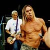 Iggy & The Stooges foto Sziget