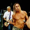 Foto Iggy & The Stooges