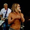 Iggy & The Stooges foto Sziget