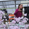 Foto Hanneke van Eijken op Festival Mooie Woorden 2013