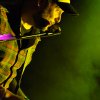 Foto Eisenhower te Cortonville rocks! - 20/4 - Atak