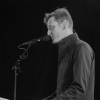 Ozark Henry