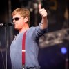Foto Racoon te Bevrijdingsfestival Overijssel 2013