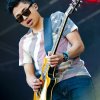 Foto Nielson te Bevrijdingsfestival Utrecht 2013