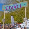 Foto  op Bevrijdingsfestival Utrecht 2013
