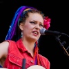 foto Bevrijdingsfestival Limburg 2013