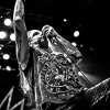 Coal Chamber foto Coal Chamber  -11/6 - 013