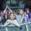Foto  op Bush - 7/7 - Effenaar