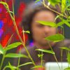 Foto Undertone op Tomorrowland 2013