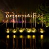 Foto op Tomorrowland 2013