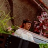 Axwell