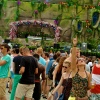 Foto  op Tomorrowland 2013