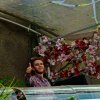 Foto Zedd te Tomorrowland 2013