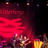 Foto The Waterboys te pinkpop Classic 2013
