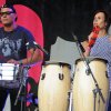 Foto Rick Nolov Band te pinkpop Classic 2013