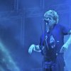Foto Racoon te Appelpop 2013