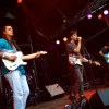 Beach Fossils