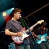 Beach Fossils