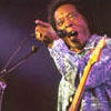 Foto  op North Sea Jazz 2002