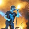 Foto Racoon te Festyland 2013
