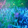 Foto  op Life in Color - 14/12 - Ahoy