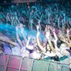 foto Life in Color - 14/12 - Ahoy